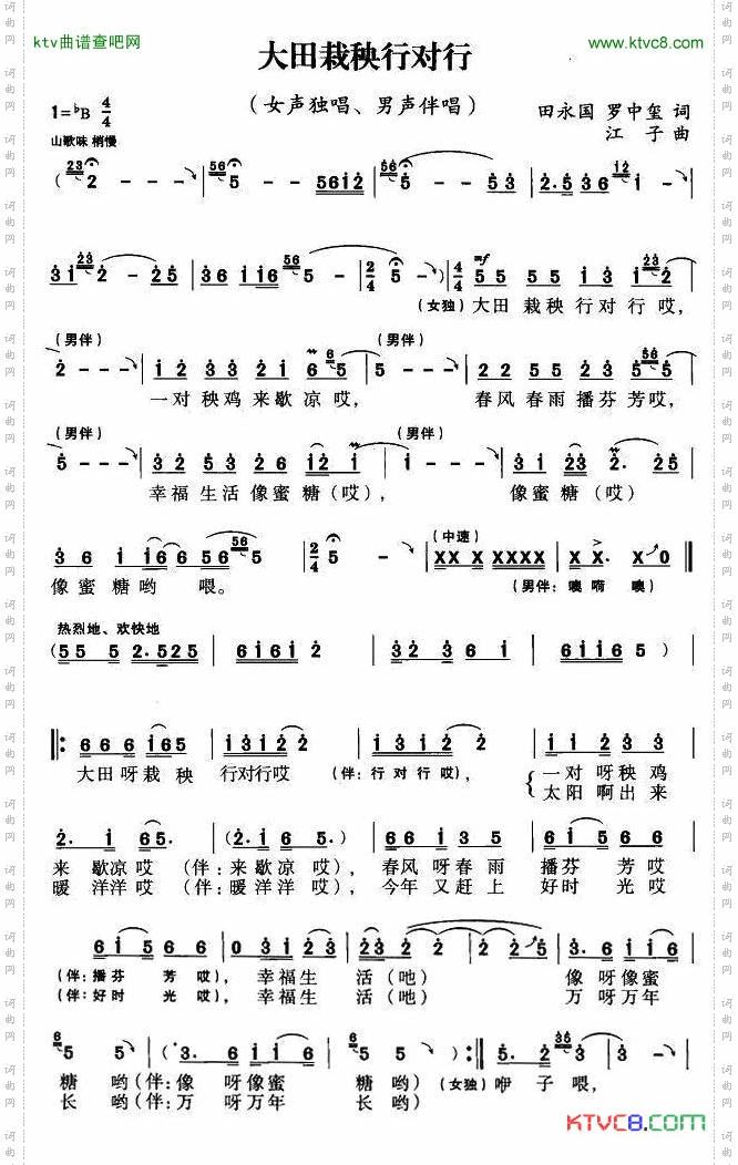 大田栽秧行对行