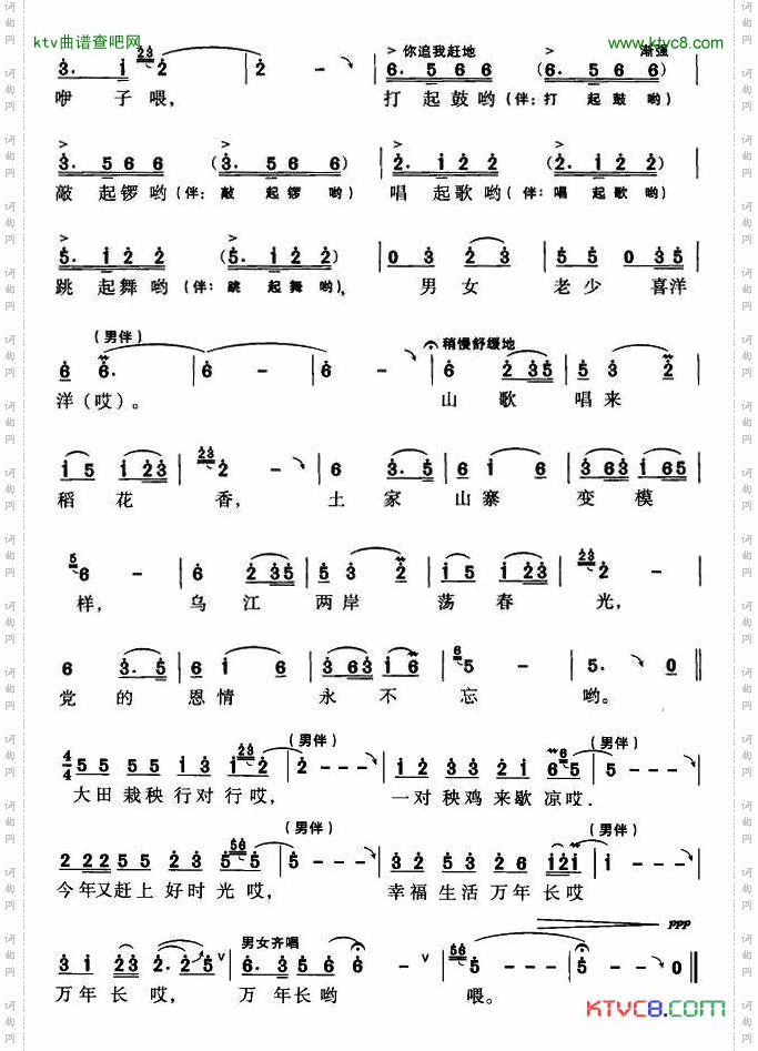 大田栽秧行对行