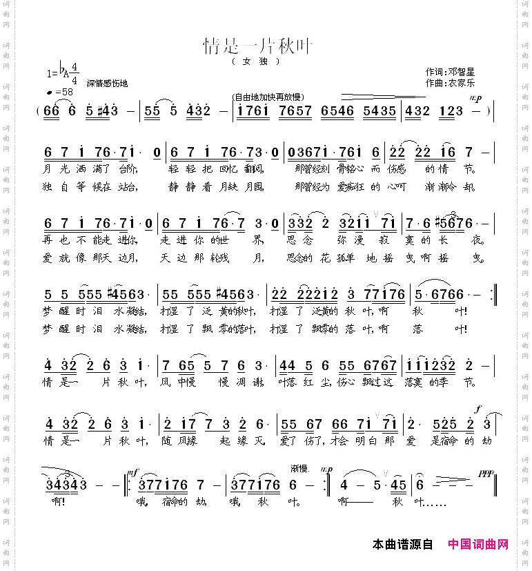 情是一片秋叶