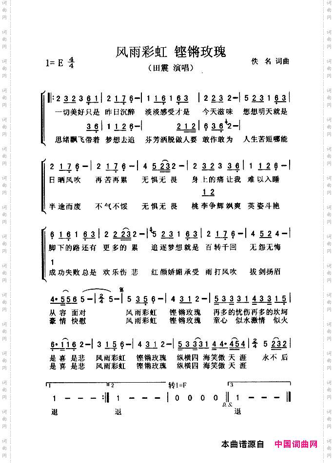 风雨彩虹铿锵玫瑰