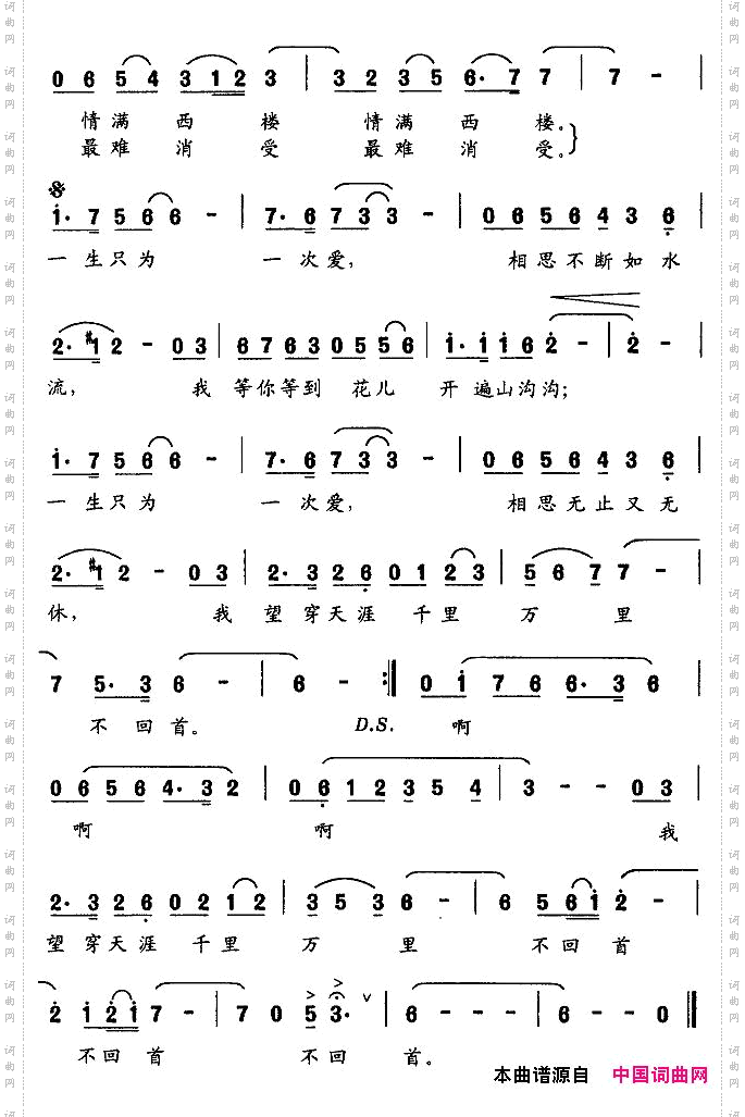 一生只为一次爱