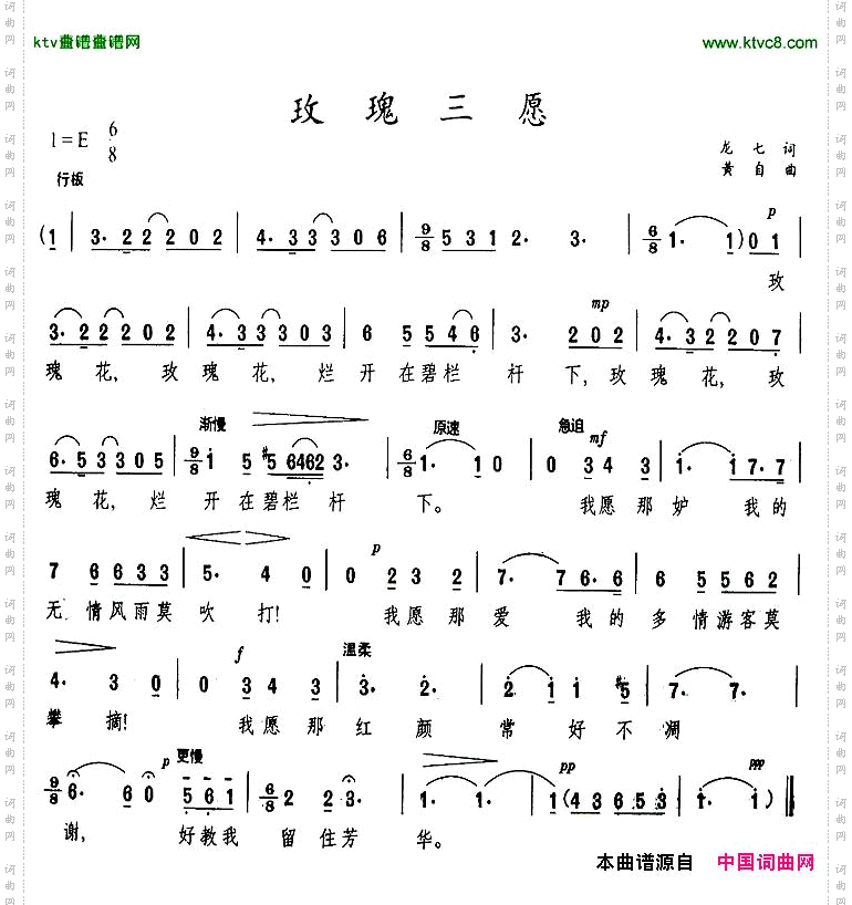 玫瑰三愿
