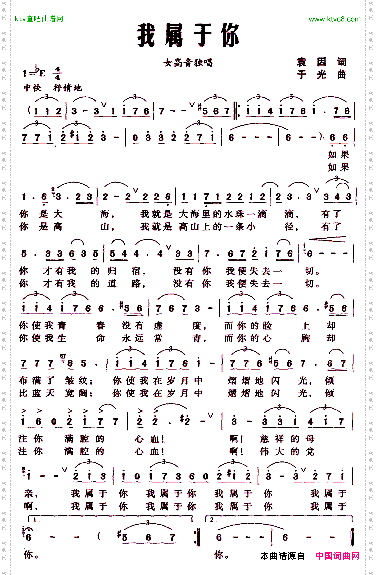 我属于你袁因词于光曲