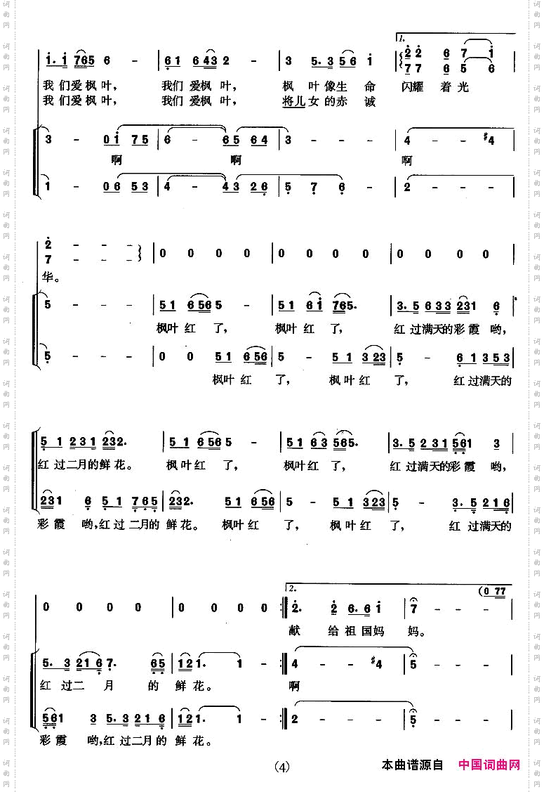 枫叶红了