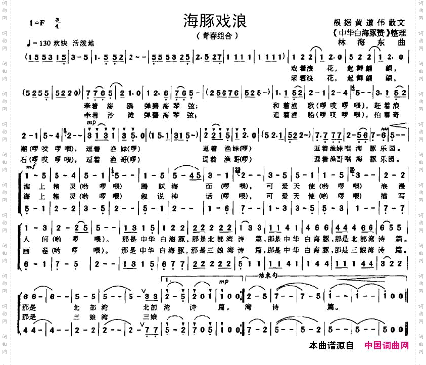 海豚戏浪青春组合