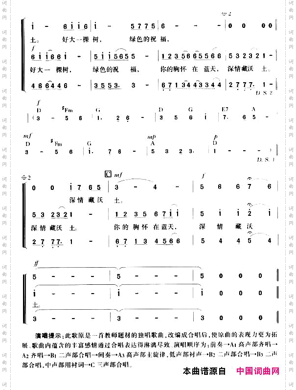好大一棵树
