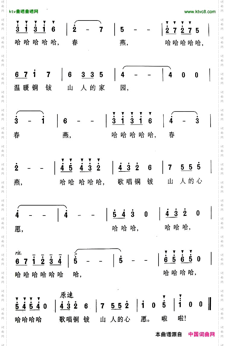 铜钹山的春燕