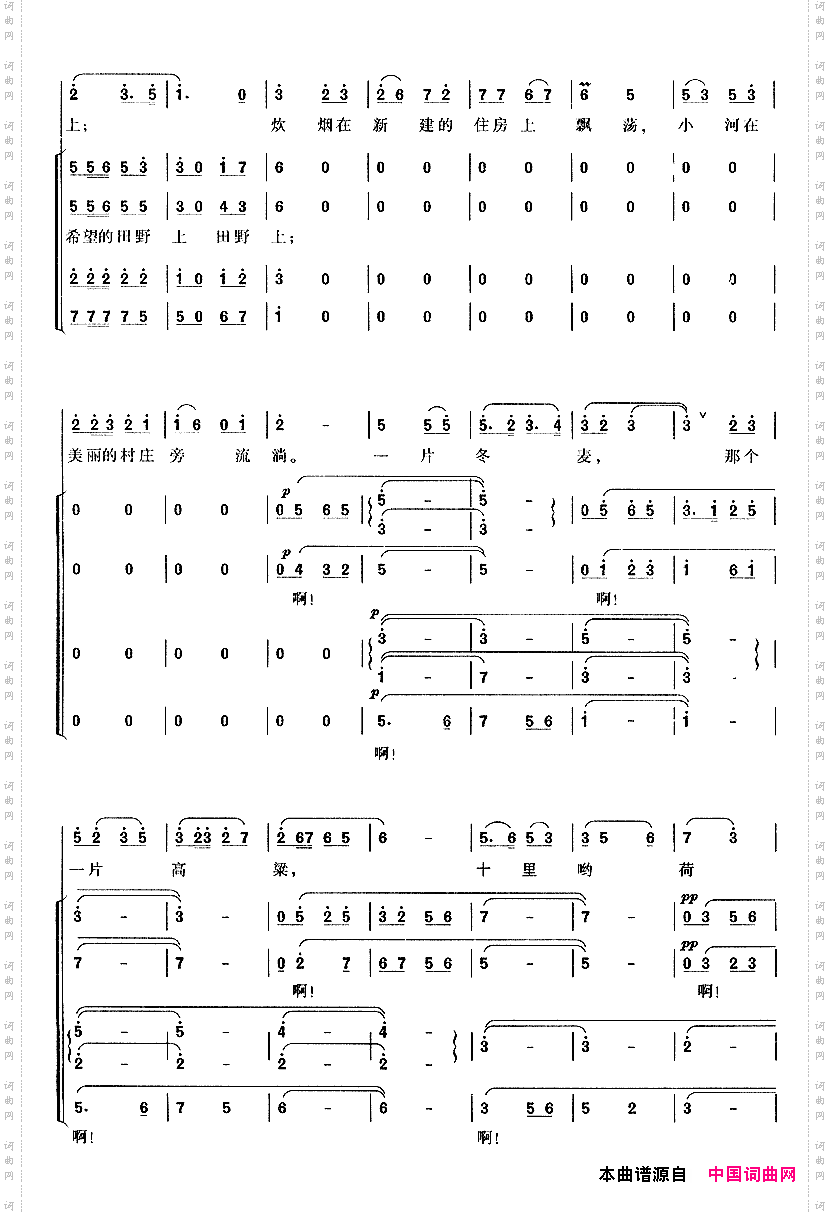 在希望的田野上
