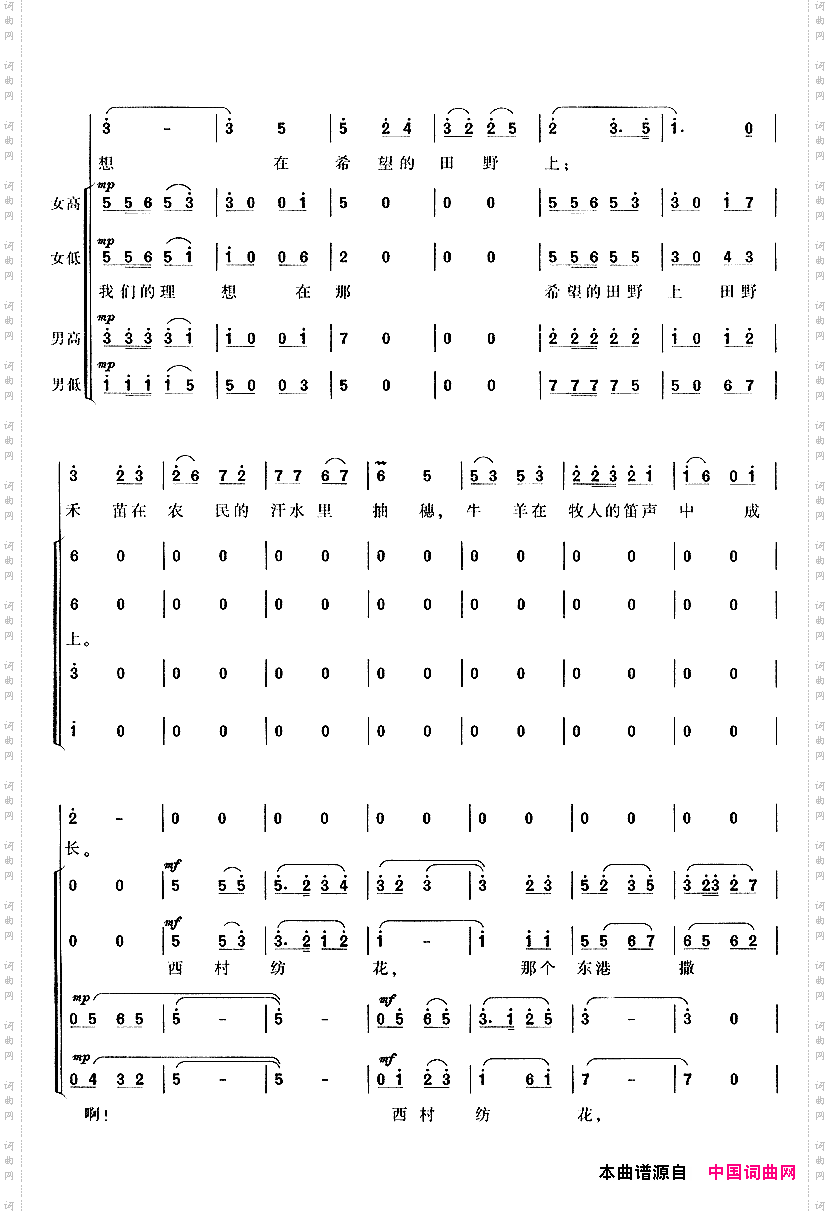在希望的田野上