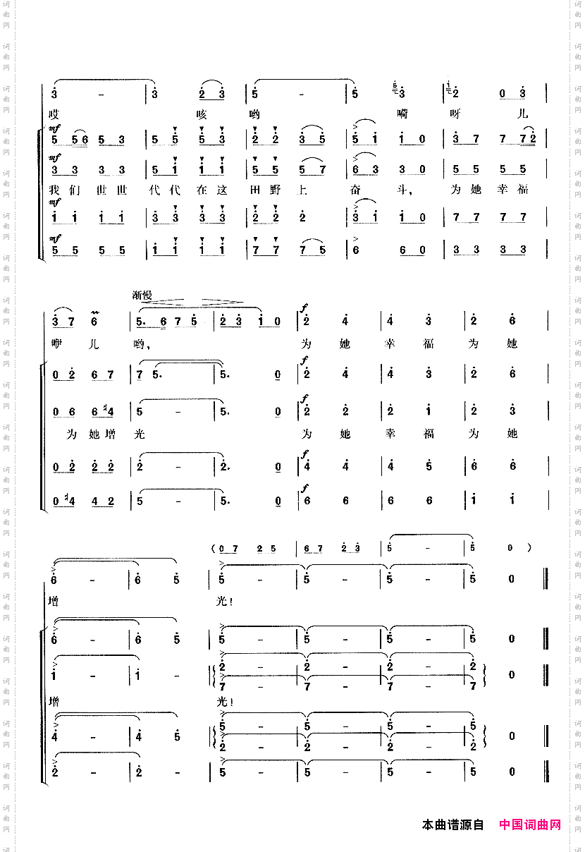 在希望的田野上