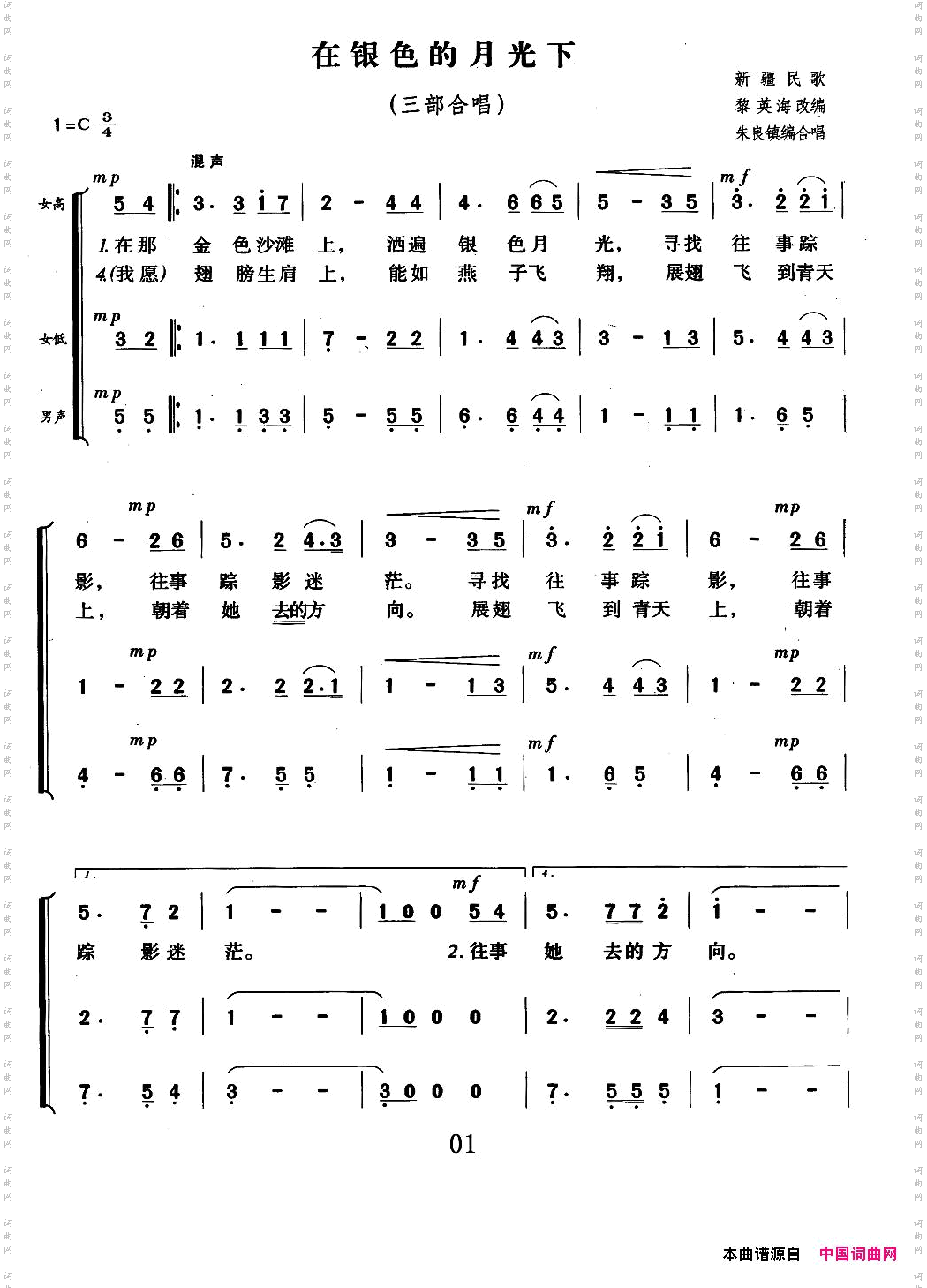 在银色的月光下