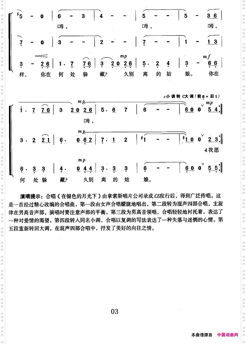 在银色的月光下