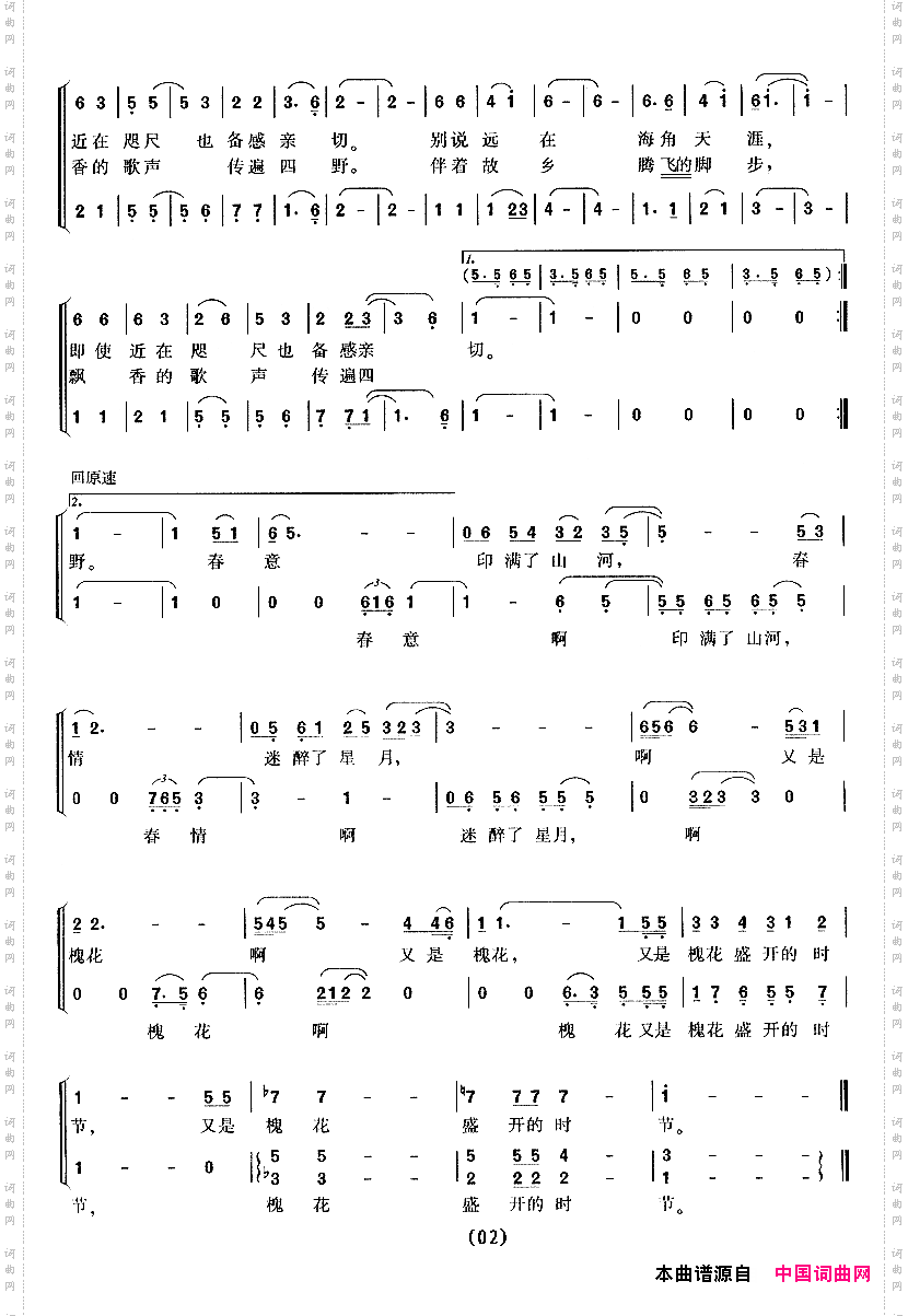 槐花盛开的时节