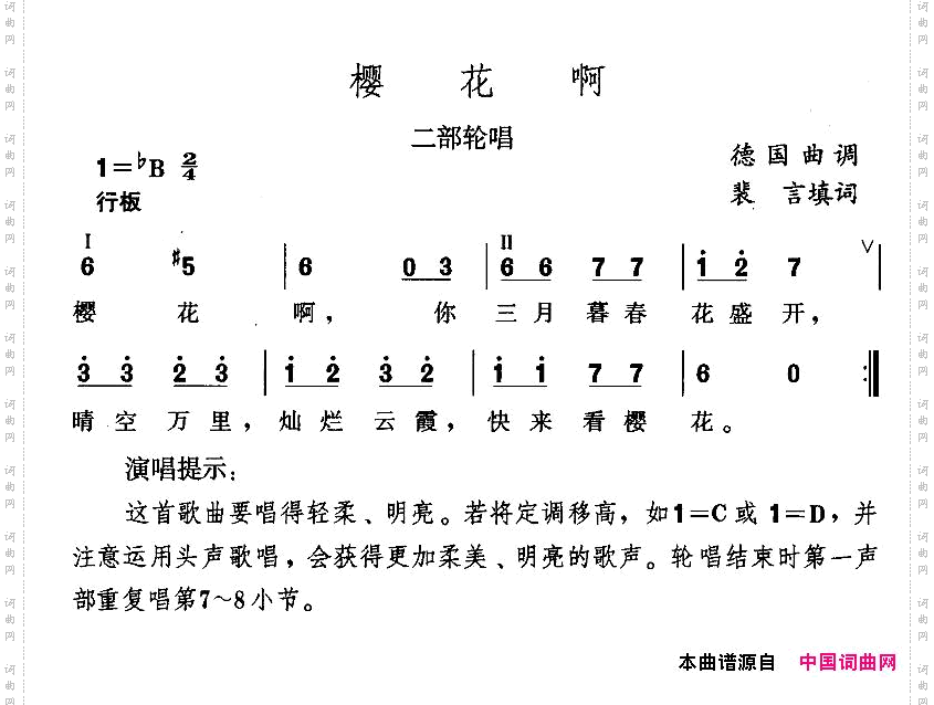 樱花啊
