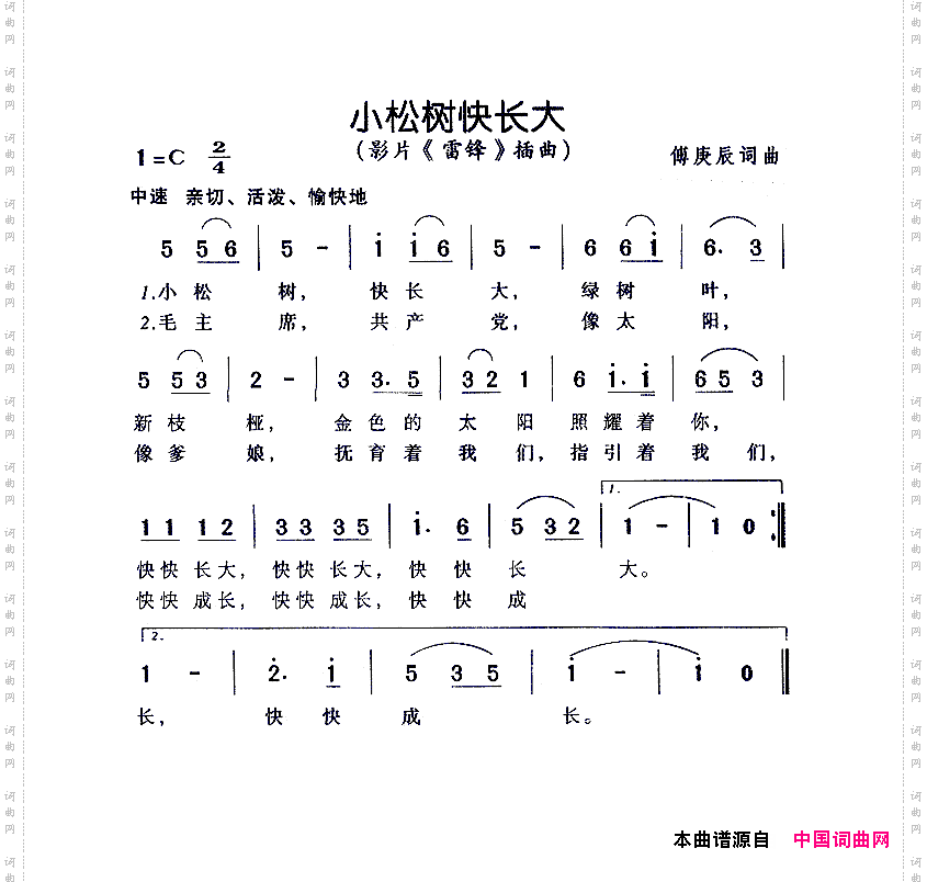 小松树快长大