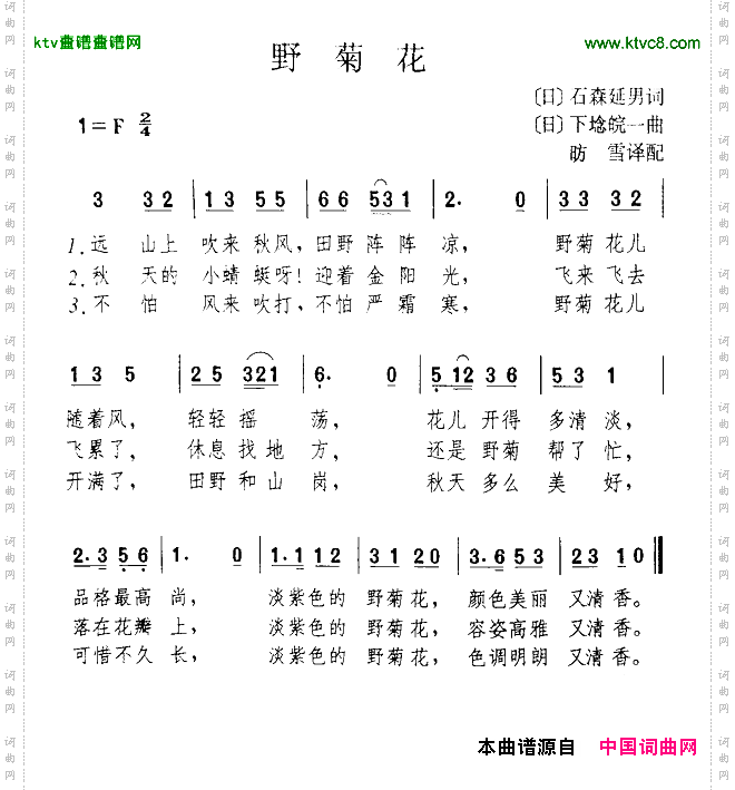 野菊花_【日】