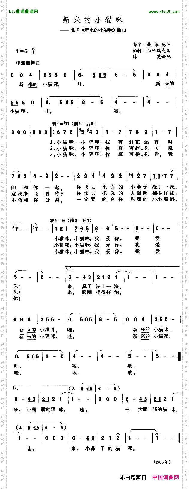 新来的小猫咪[美]