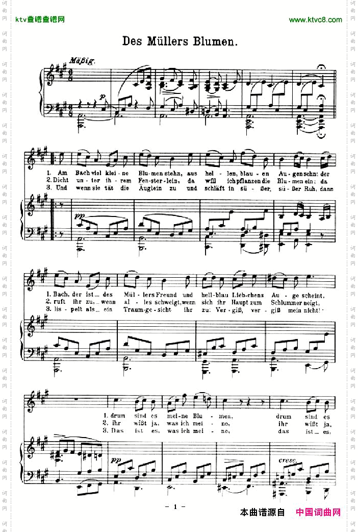 DesMullersblumen[奥]