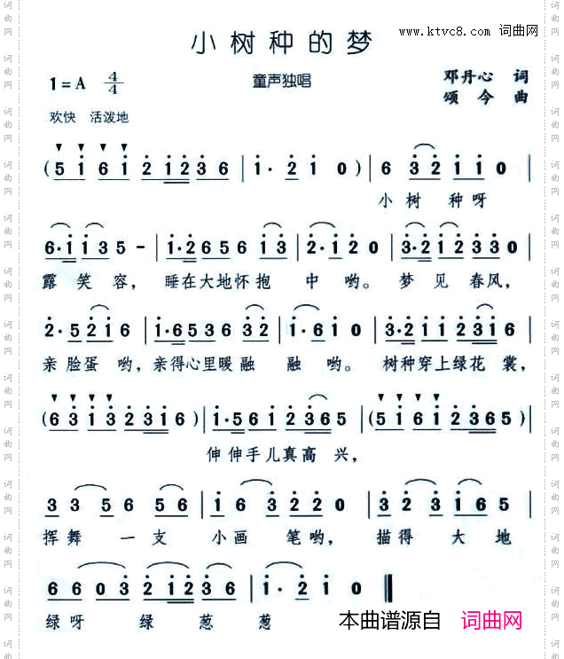 小树种的梦