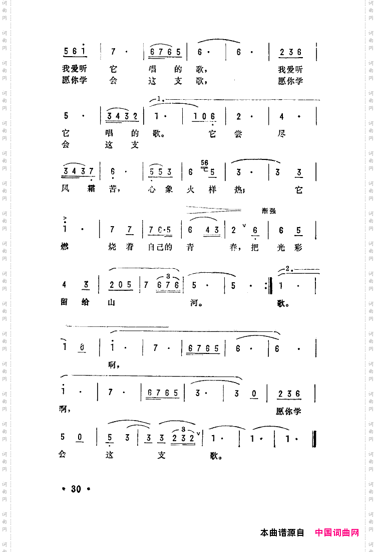 愿你学会这支歌