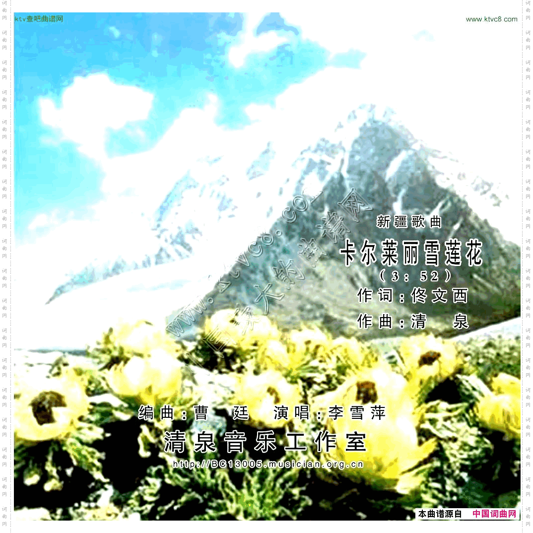 卡尔莱丽雪莲花