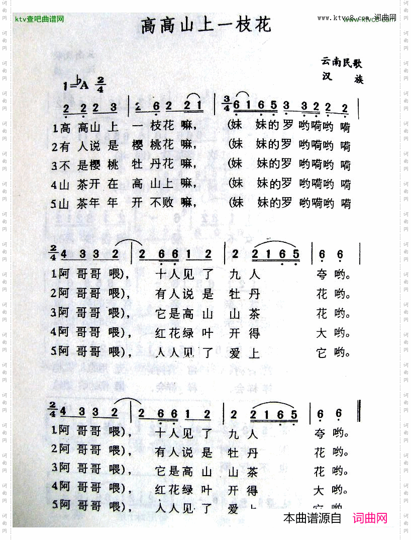 高高山上一枝花
