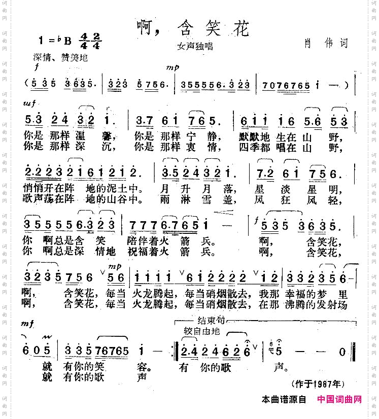 含笑花