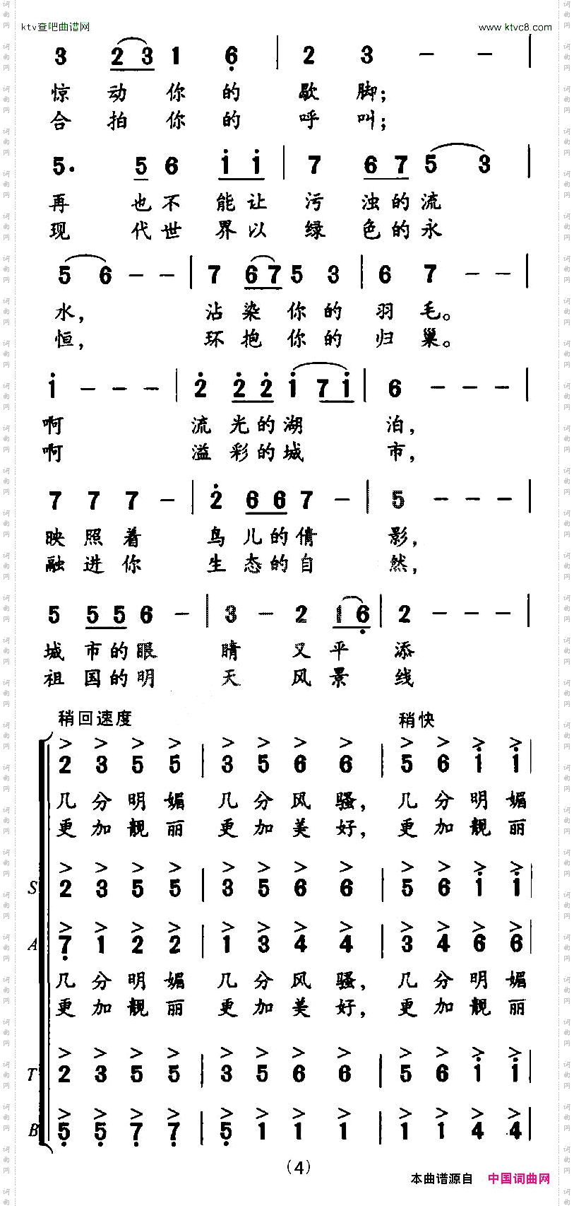 白鹭飞回来了
