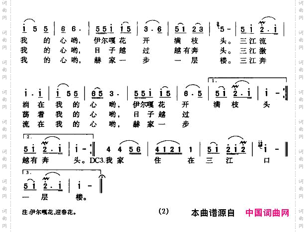 伊尔嘎花开满枝头