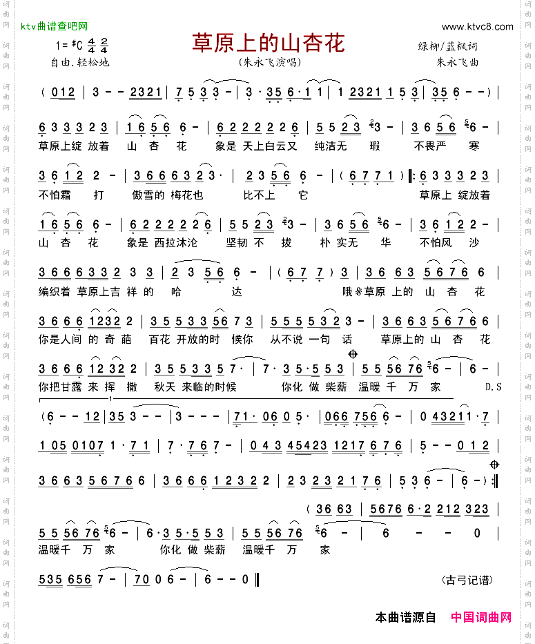 草原上的山杏花