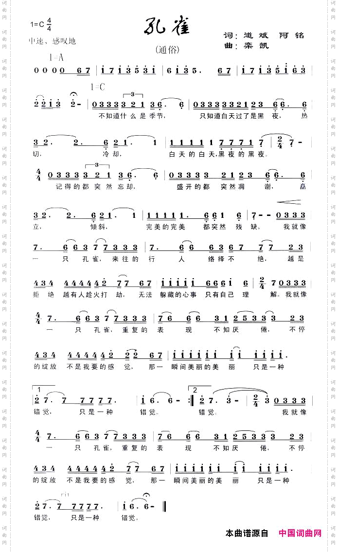 孔雀陈道斌词栾凯曲