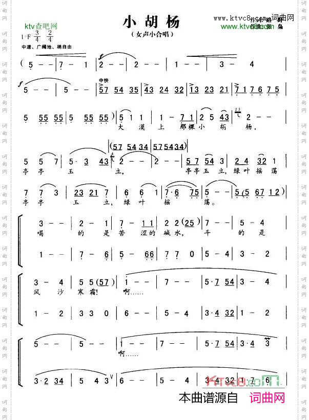 小胡杨_女声小合唱