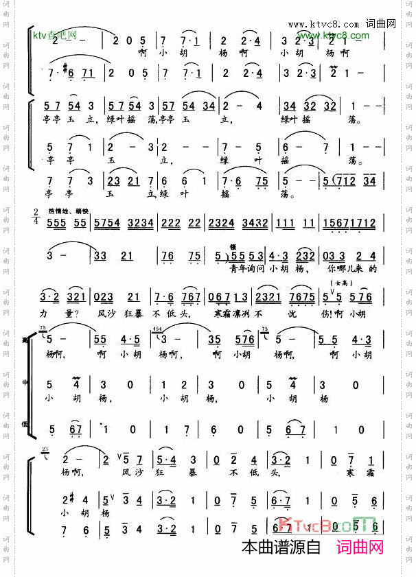 小胡杨_女声小合唱