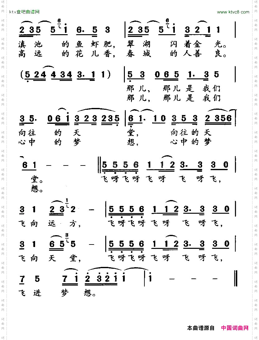 红嘴鸥之梦