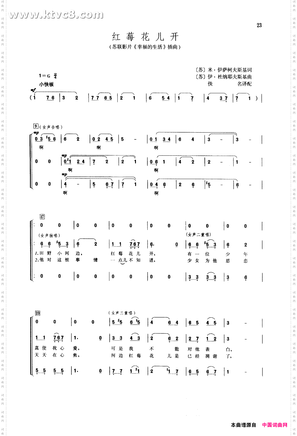 红莓花儿开女声合唱