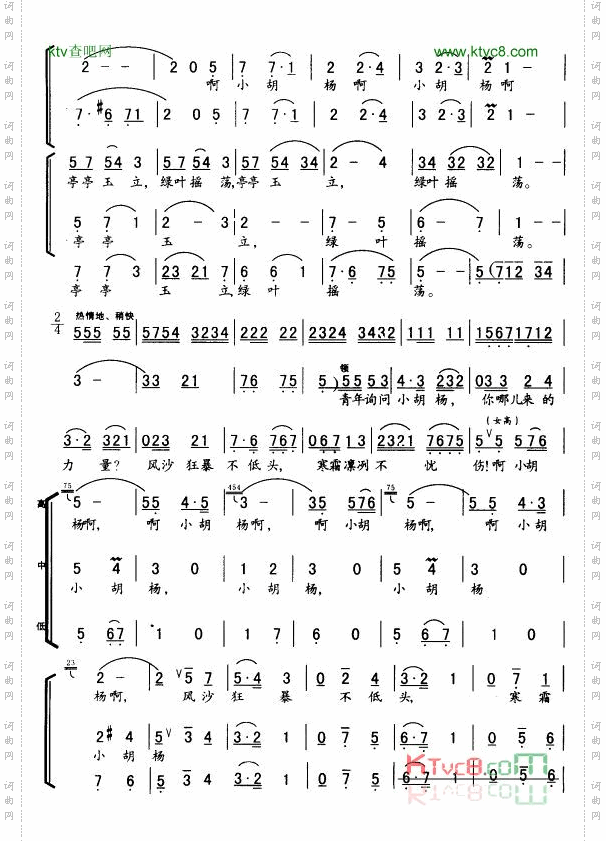 小胡杨_女声小合唱