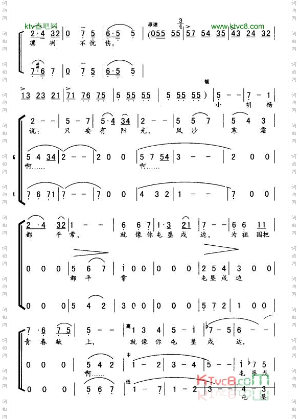 小胡杨_女声小合唱