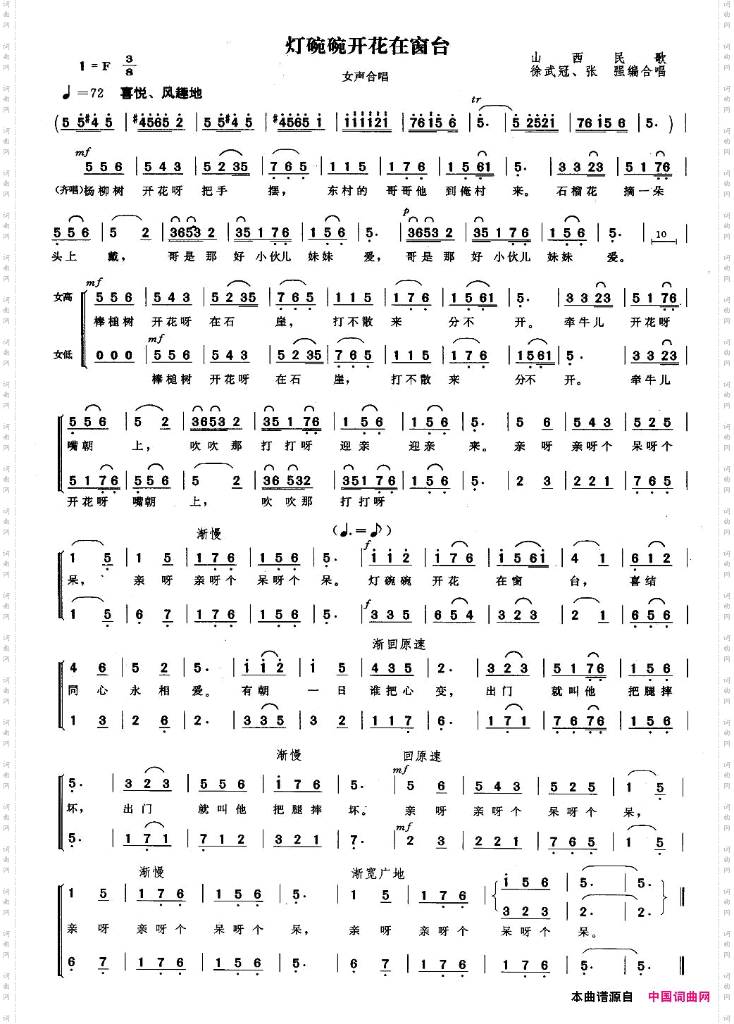 灯碗碗开花在窗台