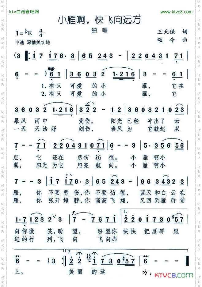 小雁啊，快飞向远方