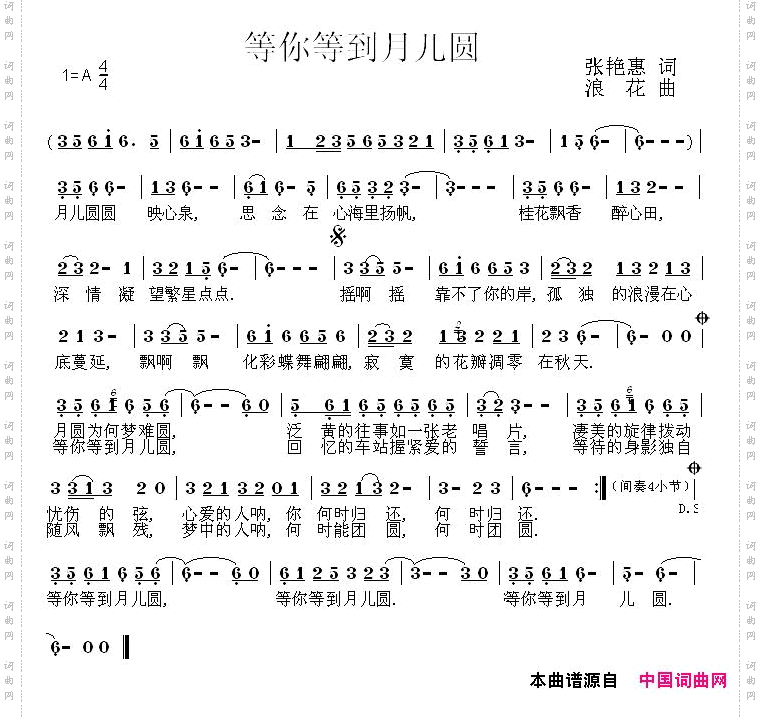 等你等到月儿圆