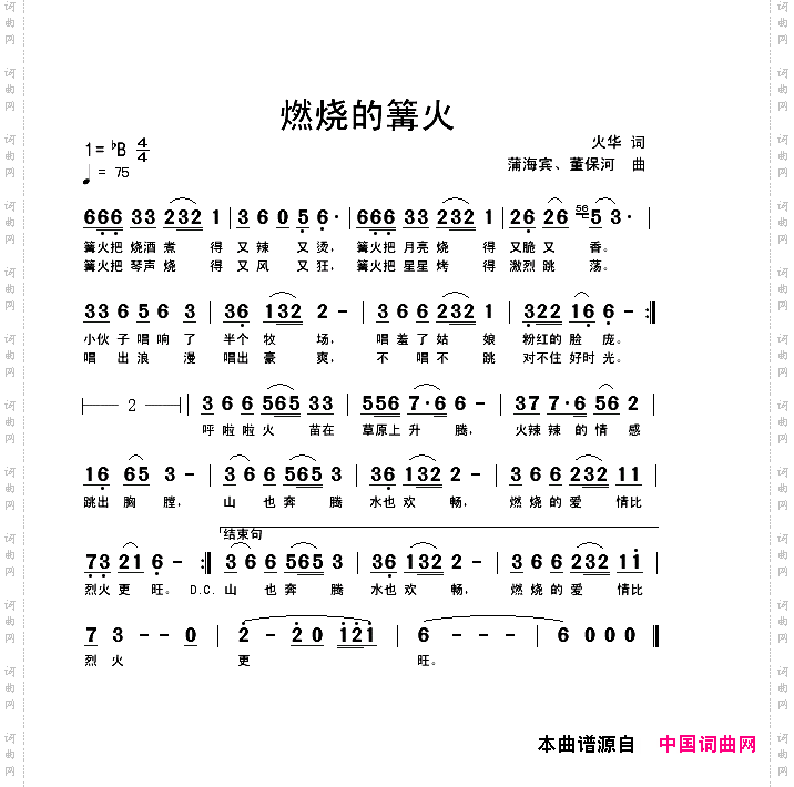 燃烧的篝火