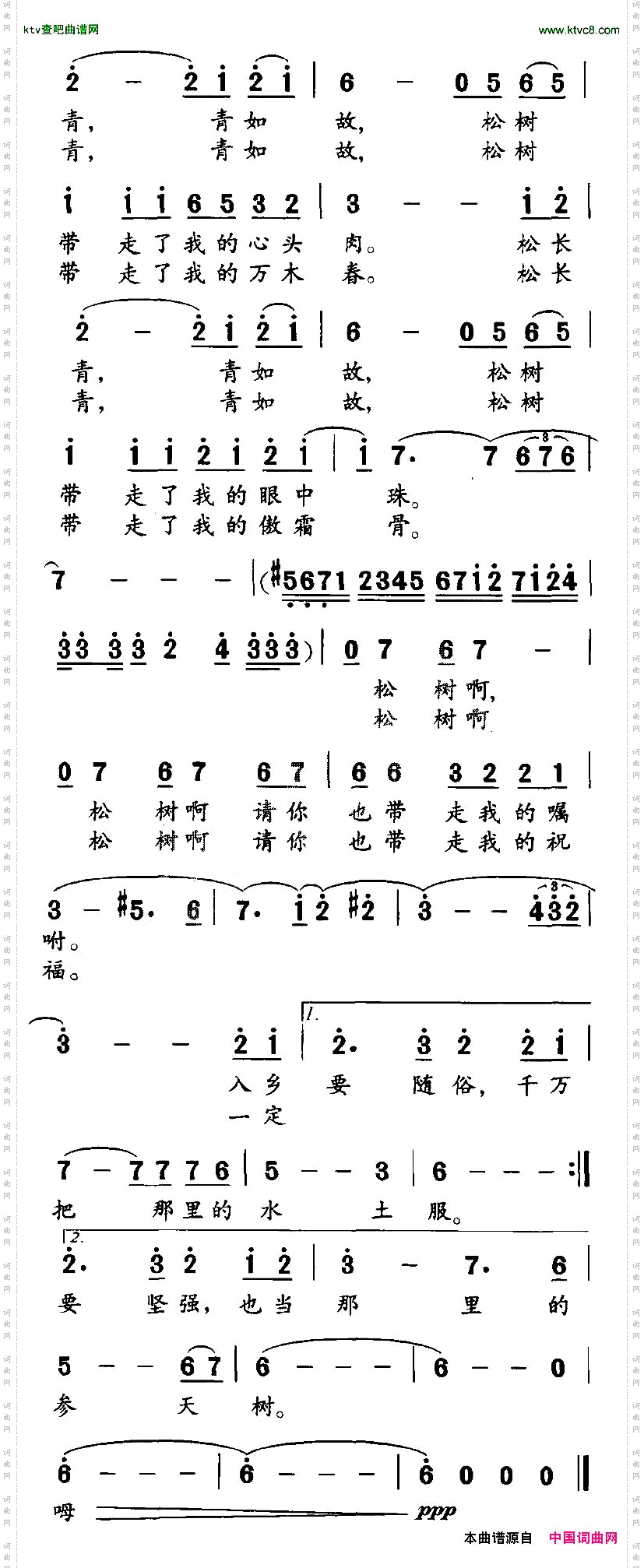 当松树离开了松树谷