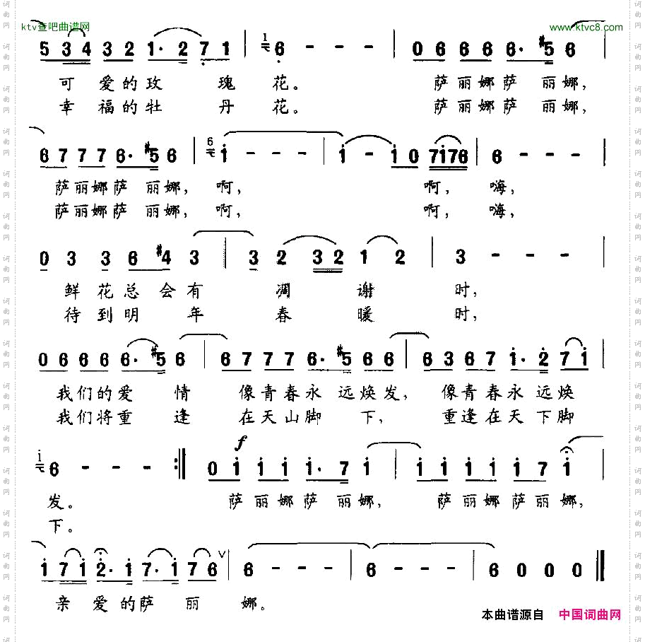 远方的姑娘萨丽娜