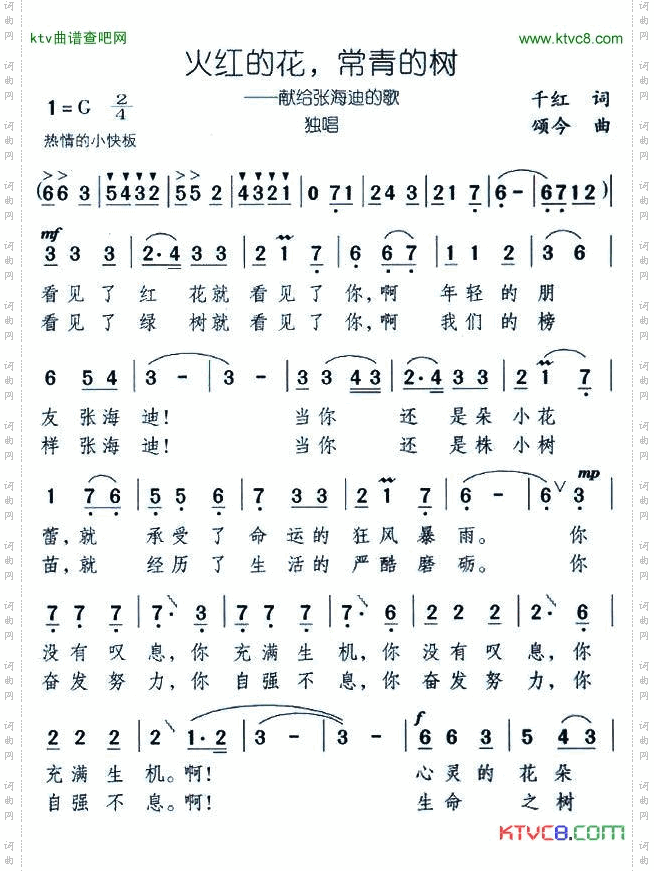 火红的花，常青的树