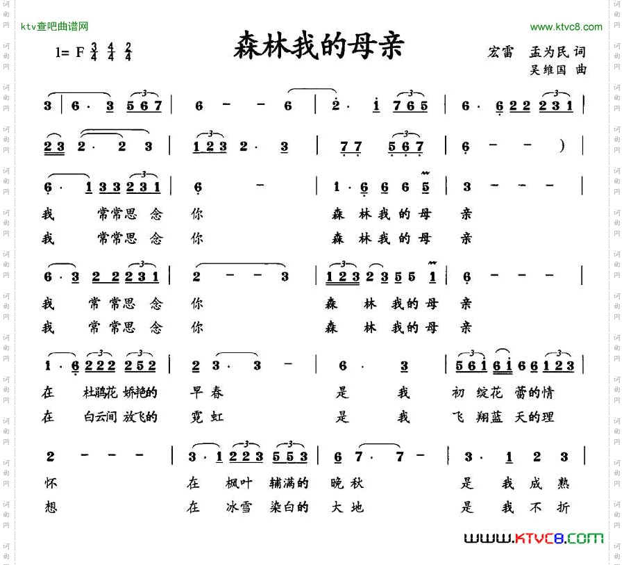 森林我的母亲
