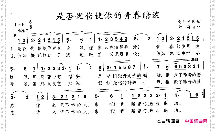 是否忧伤使你的青春暗淡[爱尔兰]