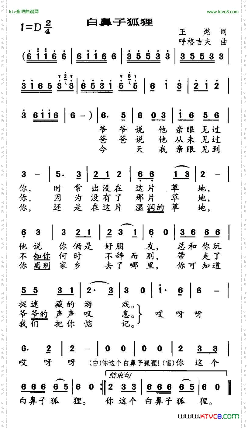白鼻子狐狸