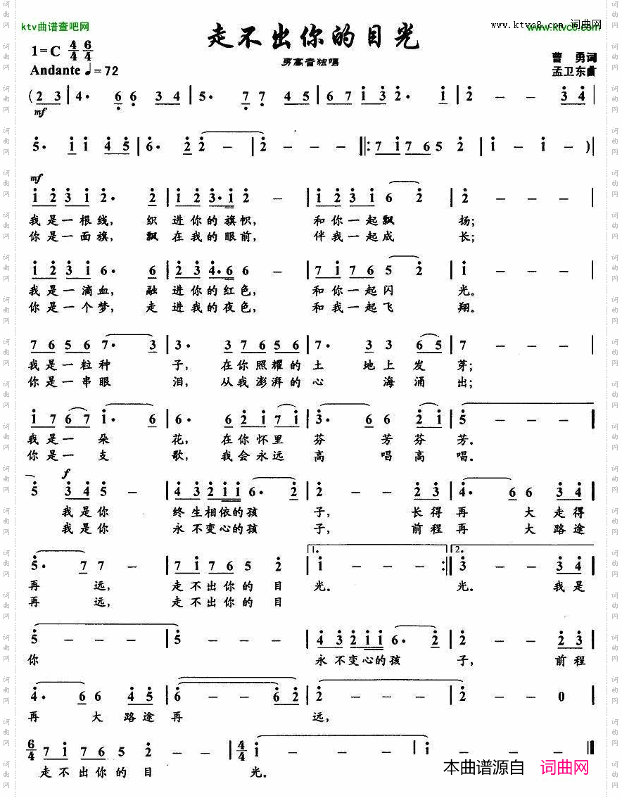 走不出你的目光