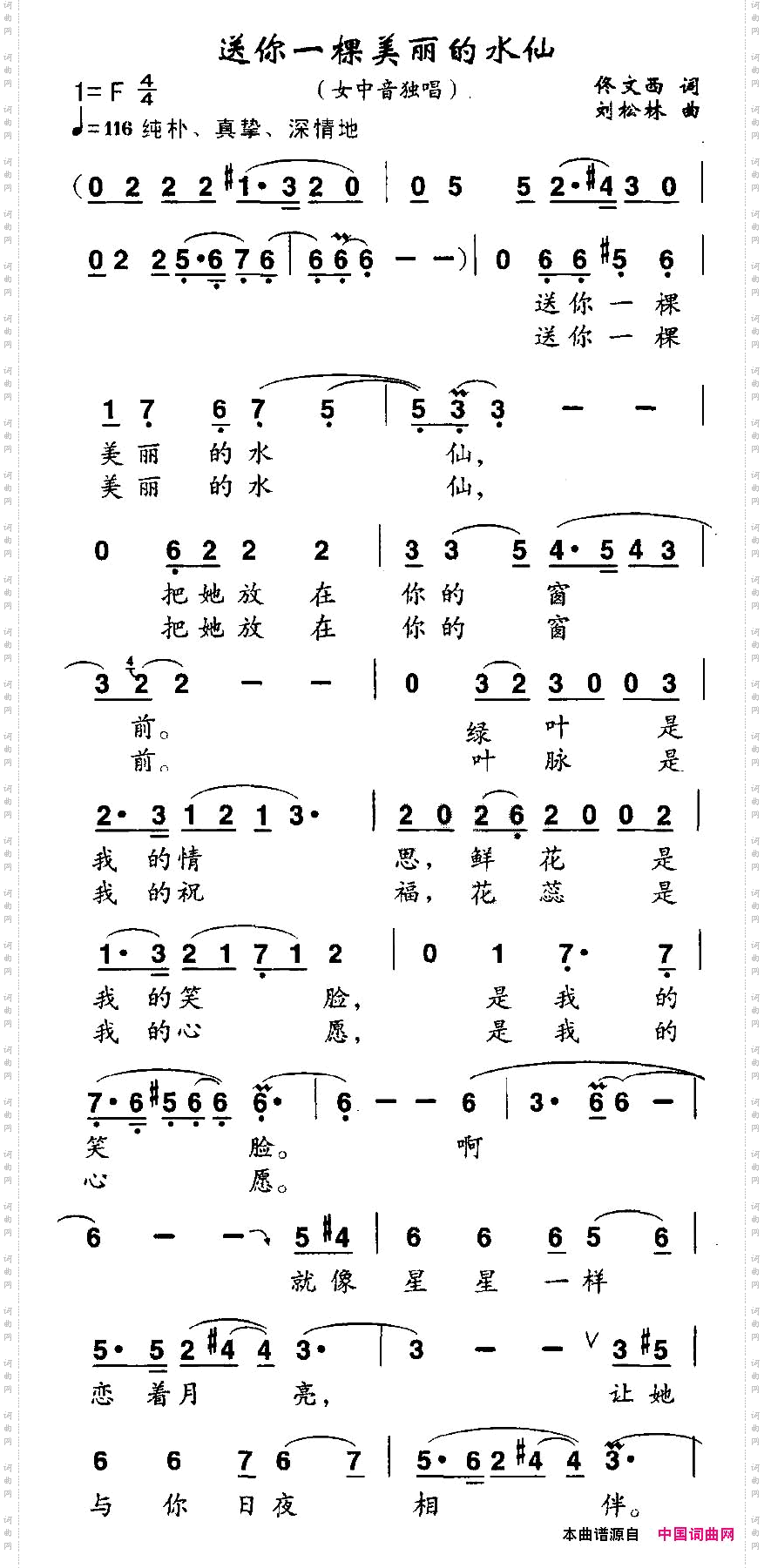 送你一棵美丽的水仙