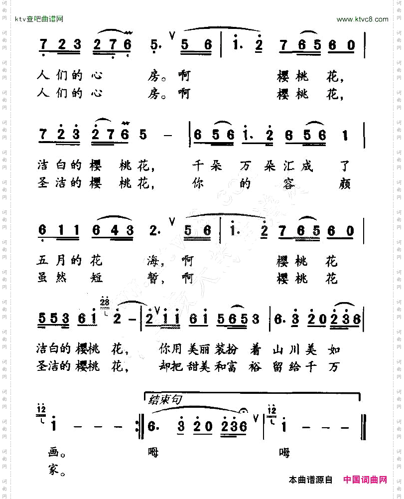 樱桃花